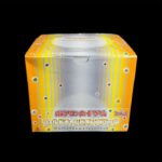 Japanese World Champions Booster Box